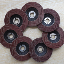 Flap disc